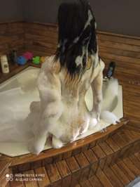 Yenişehir’in Yeni ve Sınırsız Eskort Bayanı Ayla ile Tanışın!